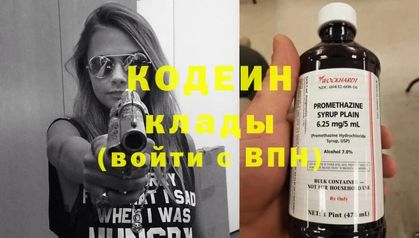 эйфоретик Алзамай