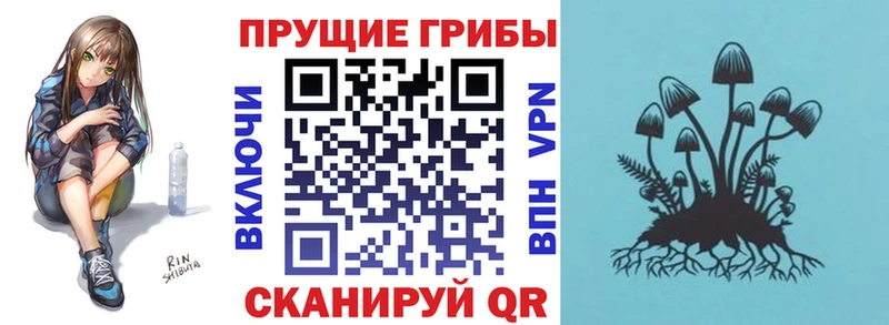 дарк нет состав  Кемь  Псилоцибиновые грибы Magic Shrooms 